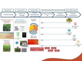 From genebanks to farmer’s fields: Forage breeding and selection to improve livelihoods