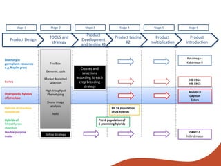 From genebanks to farmer’s fields: Forage breeding and selection to improve livelihoods