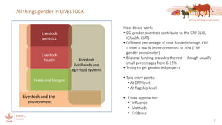 Gender in the LIVESTOCK CRP