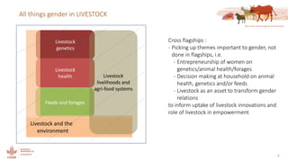 Gender in the LIVESTOCK CRP