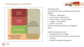 Gender in the LIVESTOCK CRP