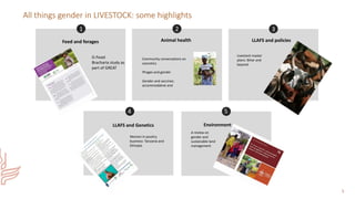 Gender in the LIVESTOCK CRP