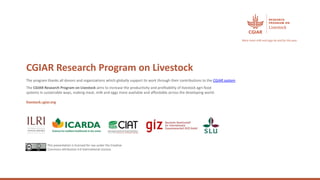 Gender in the LIVESTOCK CRP