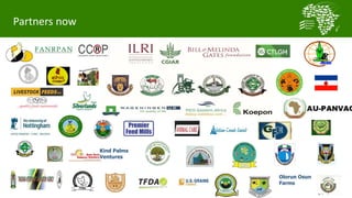 Village poultry: Transforming a sub-sector from family hobby to family business 