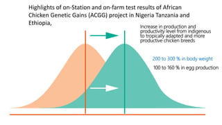 Village poultry: Transforming a sub-sector from family hobby to family business 