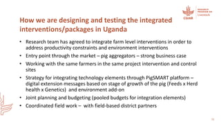 Integrating flagships and outcomes at country level