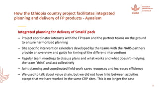 Integrating flagships and outcomes at country level