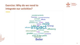 Integrating flagships and outcomes at country level