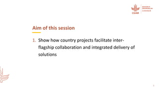 Integrating flagships and outcomes at country level