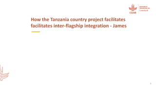 Integrating flagships and outcomes at country level