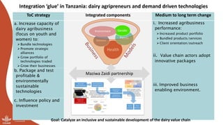 Integrating flagships and outcomes at country level