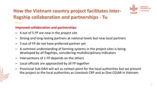 Integrating flagships and outcomes at country level