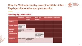 Integrating flagships and outcomes at country level