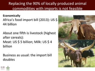 Developing a Livestock Agri-Food Systems Research Program for the CGIAR: Background and guiding questions for face to face consultations
