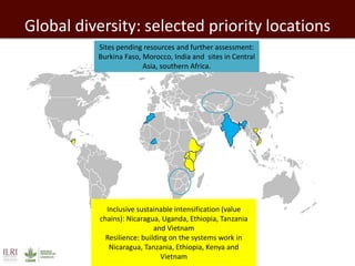 Developing a Livestock Agri-Food Systems Research Program for the CGIAR: Background and guiding questions for face to face consultations