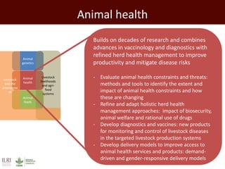 Developing a Livestock Agri-Food Systems Research Program for the CGIAR: Background and guiding questions for face to face consultations