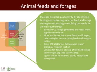 Developing a Livestock Agri-Food Systems Research Program for the CGIAR: Background and guiding questions for face to face consultations
