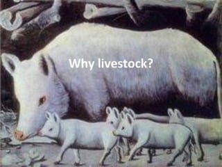 Developing a Livestock Agri-Food Systems Research Program for the CGIAR: Background and guiding questions for face to face consultations