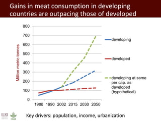 Developing a Livestock Agri-Food Systems Research Program for the CGIAR: Background and guiding questions for face to face consultations