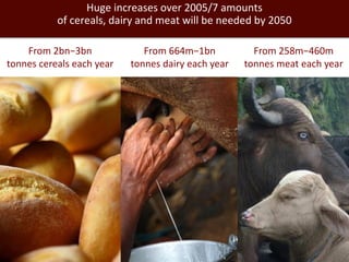 Developing a Livestock Agri-Food Systems Research Program for the CGIAR: Background and guiding questions for face to face consultations