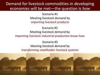 Developing a Livestock Agri-Food Systems Research Program for the CGIAR: Background and guiding questions for face to face consultations