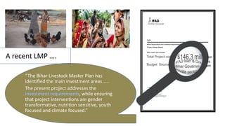 Guiding livestock investments and policy options for sustainable development