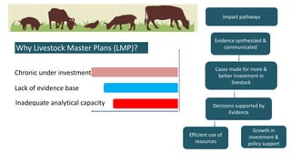 Guiding livestock investments and policy options for sustainable development