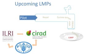 Guiding livestock investments and policy options for sustainable development