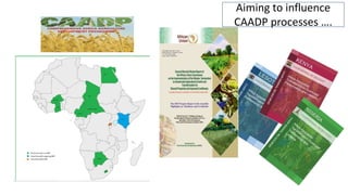 Guiding livestock investments and policy options for sustainable development