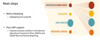 Guiding livestock investments and policy options for sustainable development