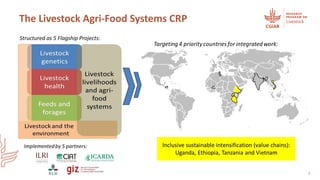 Reviewing and planning the CRP: Setting the scene 