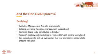 Reviewing and planning the CRP: Setting the scene 