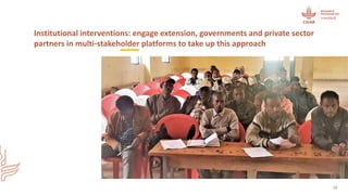 Herd health packages:  Packed with impact not surprises