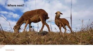 Herd health packages:  Packed with impact not surprises