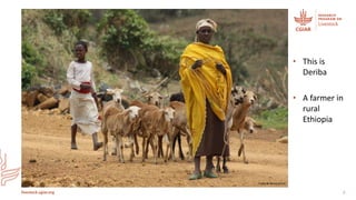 Herd health packages:  Packed with impact not surprises