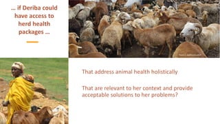 Herd health packages:  Packed with impact not surprises