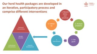 Herd health packages:  Packed with impact not surprises