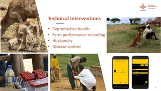 Herd health packages:  Packed with impact not surprises