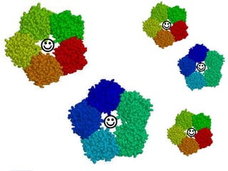 

                



           
 