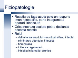 Fiziopatologie
   • Reactia de faza acuta este un raspuns
     imun nespecific, parte integranta a
     apararii innascute
   • Orice necroza tisulara poate declansa
     aceasta reactie
   • Rolul
     –   delimitarea tesutului necrotizat si/sau infectat
     –   eliminarea agentului infectios
     –   hemostaza
     –   initierea regenerarii
     –   inhibitia inflamatiei cronice
 
