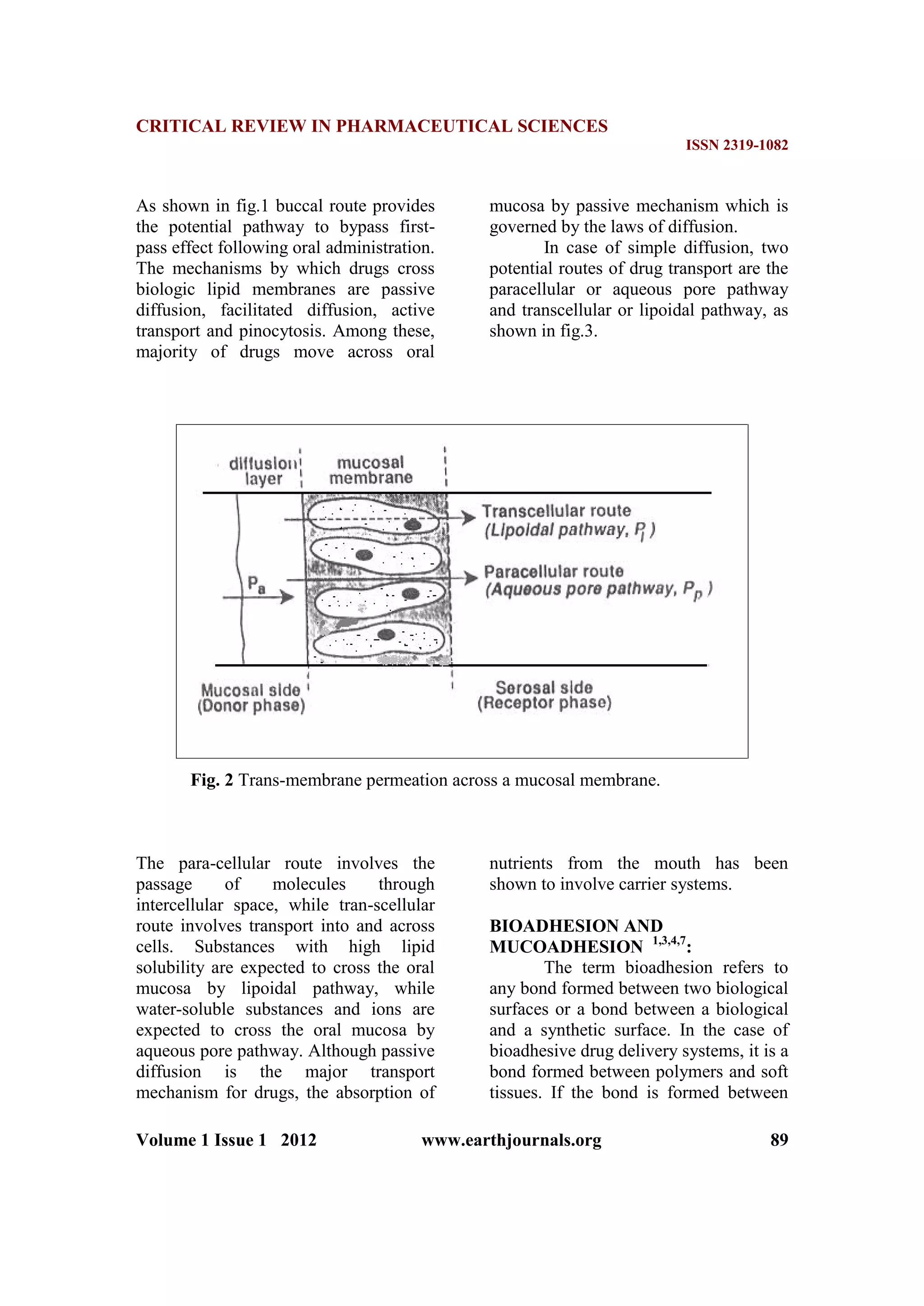 CRITICAL REVIEW IN PHARMACEUTICAL SCIENCES
ISSN 2319-1082
Volume 1 Issue 1 2012 www.earthjournals.org 89
As shown in fig.1 buccal route provides
the potential pathway to bypass first-
pass effect following oral administration.
The mechanisms by which drugs cross
biologic lipid membranes are passive
diffusion, facilitated diffusion, active
transport and pinocytosis. Among these,
majority of drugs move across oral
mucosa by passive mechanism which is
governed by the laws of diffusion.
In case of simple diffusion, two
potential routes of drug transport are the
paracellular or aqueous pore pathway
and transcellular or lipoidal pathway, as
shown in fig.3.
Fig. 2 Trans-membrane permeation across a mucosal membrane.
The para-cellular route involves the
passage of molecules through
intercellular space, while tran-scellular
route involves transport into and across
cells. Substances with high lipid
solubility are expected to cross the oral
mucosa by lipoidal pathway, while
water-soluble substances and ions are
expected to cross the oral mucosa by
aqueous pore pathway. Although passive
diffusion is the major transport
mechanism for drugs, the absorption of
nutrients from the mouth has been
shown to involve carrier systems.
BIOADHESION AND
MUCOADHESION 1,3,4,7
:
The term bioadhesion refers to
any bond formed between two biological
surfaces or a bond between a biological
and a synthetic surface. In the case of
bioadhesive drug delivery systems, it is a
bond formed between polymers and soft
tissues. If the bond is formed between
 