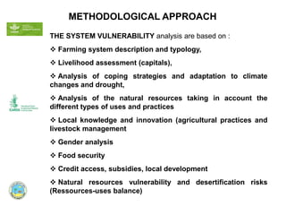 THE SYSTEM VULNERABILITY analysis are based on :
 Farming system description and typology,
 Livelihood assessment (capitals),
 Analysis of coping strategies and adaptation to climate
changes and drought,
 Analysis of the natural resources taking in account the
different types of uses and practices
 Local knowledge and innovation (agricultural practices and
livestock management
 Gender analysis
 Food security
 Credit access, subsidies, local development
 Natural resources vulnerability and desertification risks
(Ressources-uses balance)
METHODOLOGICAL APPROACH
 