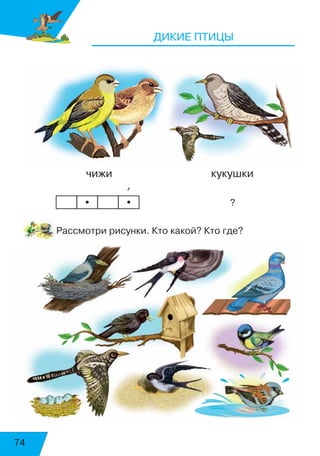 74
ДИКИЕ ПТИЦЫ
чижи				 кукушки
	 	 	     ’				 				
?
Рассмотри рисунки. Кто какой? Кто где?
• •
4
539
 