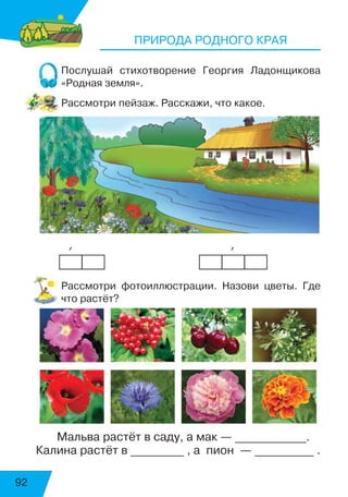 92
ПРИРОДА РОДНОГО КРАЯ
Послушай стихотворение Георгия Ладонщикова
«Родная земля».
Рассмотри пейзаж. Расскажи, что какое.
      ’                             ’
Рассмотри фотоиллюстрации. Назови цветы. Где
что растёт?
Мальва растёт в саду, а мак — ____________.
Калина растёт в _________ , а пион — __________ .
 