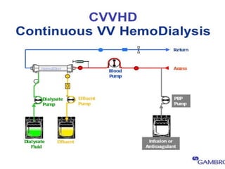 CRRT - Continuous Renal Replacement Therapy | PPTX