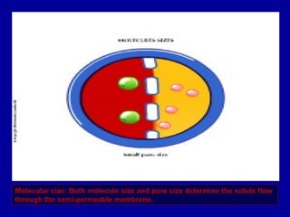 Molecular size: Both molecule size and pore size determine the solute flow
through the semi-permeable membrane.
 