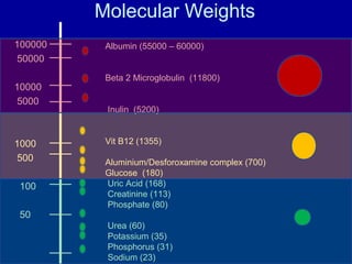 Molecular Weights
(Dalton)
100000
50000
10000
5000
1000
500
100
50
Albumin (55000 – 60000)
Beta 2 Microglobulin (11800)
Inulin (5200)
Vit B12 (1355)
Aluminium/Desforoxamine complex (700)
Glucose (180)
Uric Acid (168)
Creatinine (113)
Phosphate (80)
Urea (60)
Potassium (35)
Phosphorus (31)
Sodium (23)
 