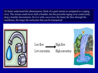 To better understand this phenomenon, think of a quiet stream as compared to a raging
river. The stream could never shift a boulder, but the powerful raging river could easily
drag a boulder downstream. So it is with convection; the faster the flow through the
membrane, the larger the molecules that can be transported
 