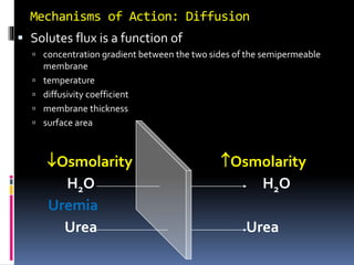 Mechanisms of Action: Diffusion
 Solutes flux is a function of
 concentration gradient between the two sides of the semipermeable
membrane
 temperature
 diffusivity coefficient
 membrane thickness
 surface area
Osmolarity
H2O H2O
Osmolarity
Urea Urea
Uremia
 