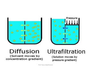 Prof. Yasse Abdelhamid
 